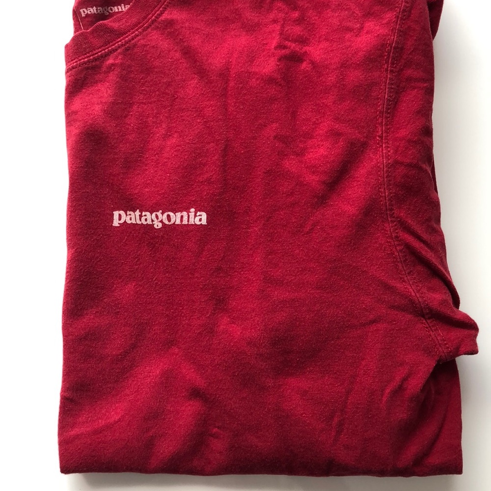 Patagonia long sleeve tee